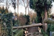 5 maart 2022: Tuinders helpen tuinders