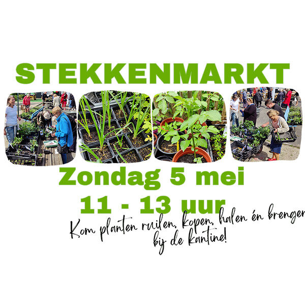 stekkenmarkt  5 Mei