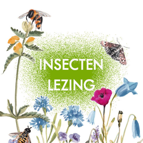 17 mei '24 Insectenlezing uitnodiging