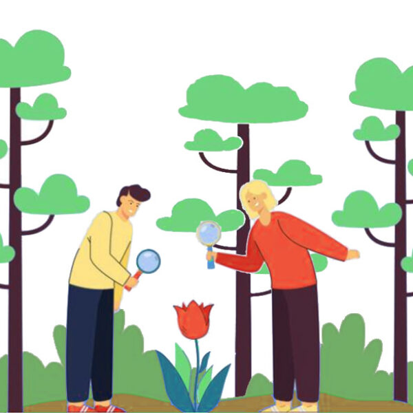 Tuincontrole juni / augustus 2024